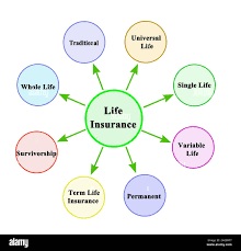 Life Insurance – Benefits & Types