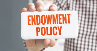 What is Endowment Life Insurance Policy: All you Need to Know About It